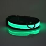 LED Light Up Dog Collar - Image 5